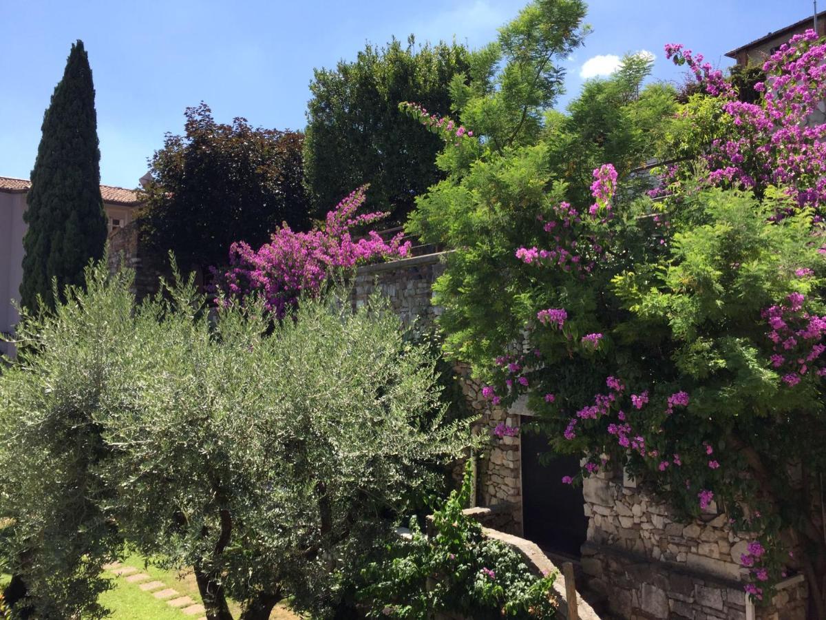 Le Finestre Sugli Ulivi Desenzano del Garda Exterior foto
